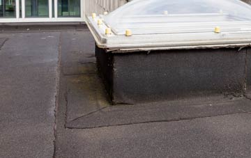 disadvantages of New Arram flat roofs